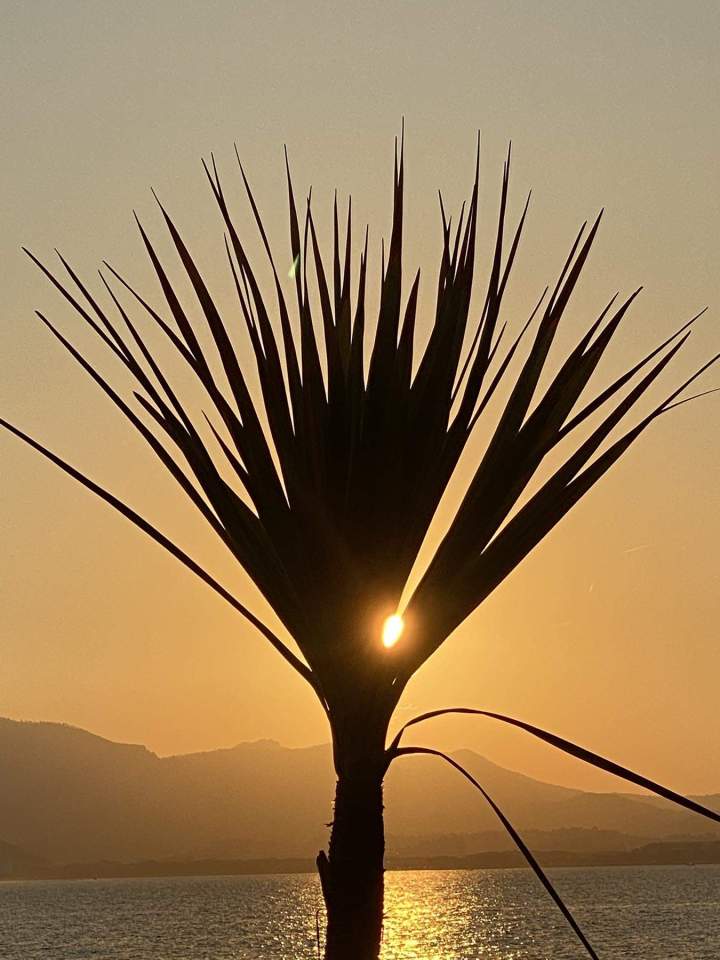 Cabinet psychothérapie Montréal