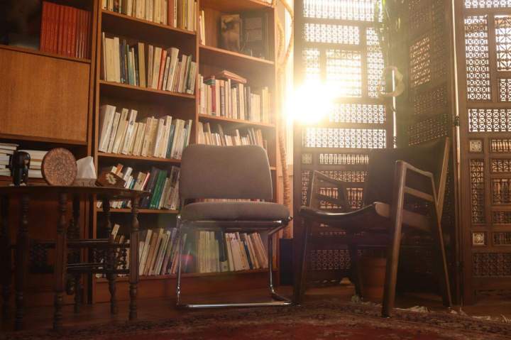 Espace multiethnique Montréal