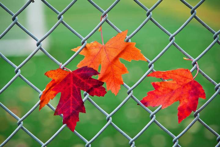 Thérapie mieux être Montréal